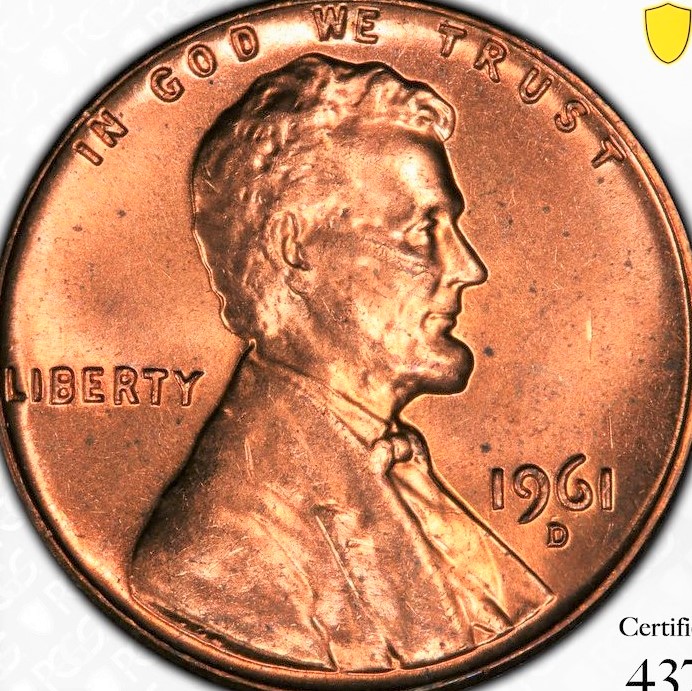 Believe-Your-TPG-Undegraded,-Misgraced-Or-Did-Not-Grade-Your-Coin-At-All.-Post-Them-Here.