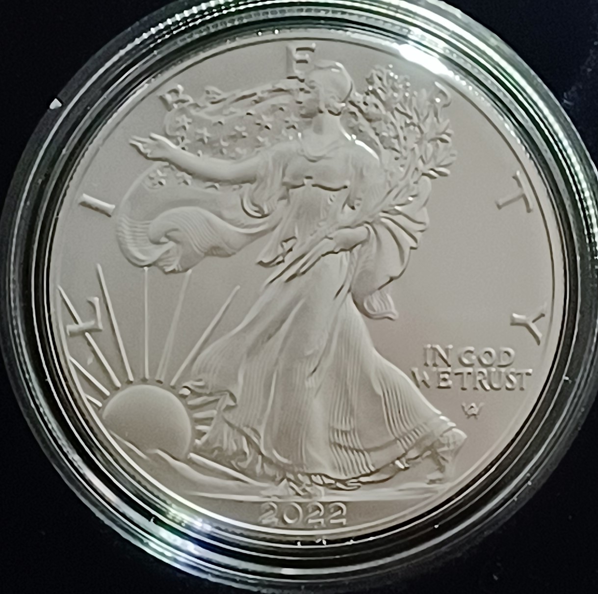 Continuing-List-To-Show-Everyones-Latest-Acquisitions