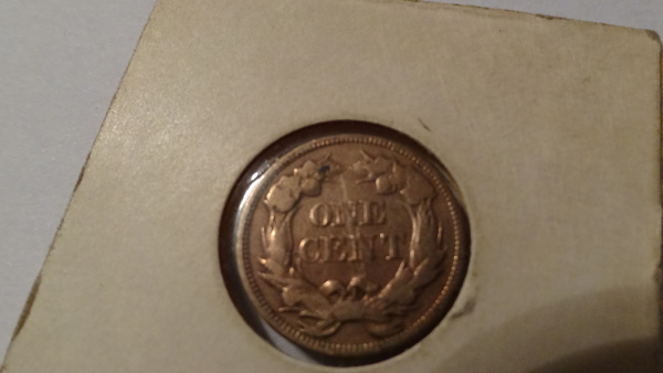 Is-This-1652-Pine-Tree-Shilling-Real?