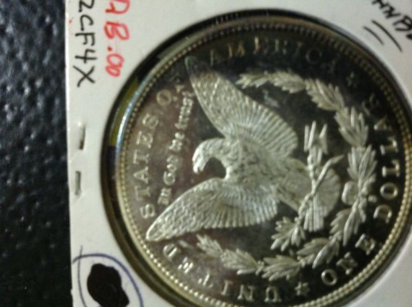Morgan-Question.-DMPL?