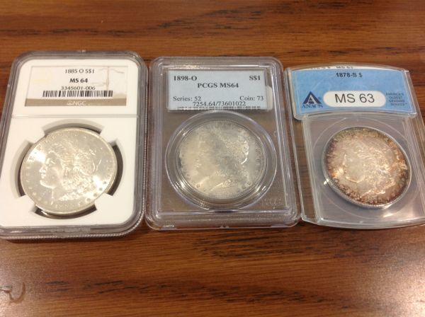 My-Newest-Additions