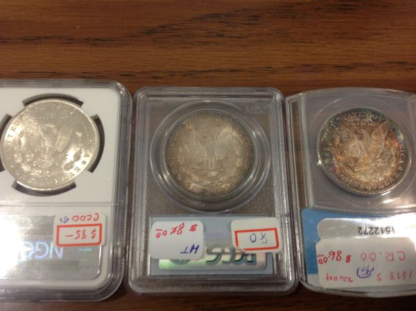 My-Newest-Additions