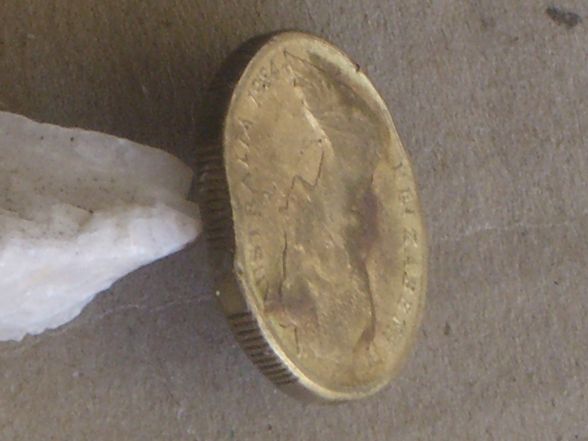 Odd-Looking-Australian-1984-$1.00-Coin