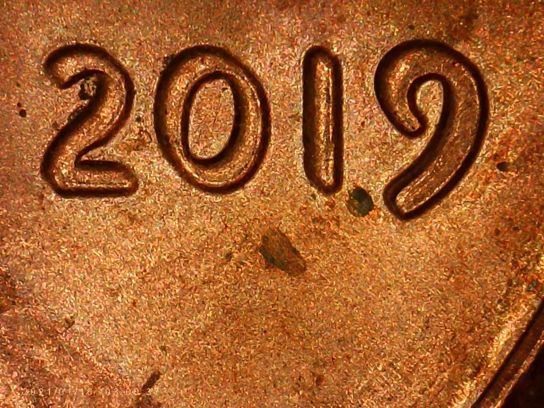 2019-Shield-Penny-DDO