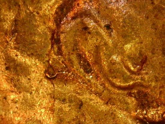 1959-LMC-.looks-Like-Ear-Doubling-And-Is-This-Die-Cracks-Or-Thread-On-Die?-Thanks-Bentpenny