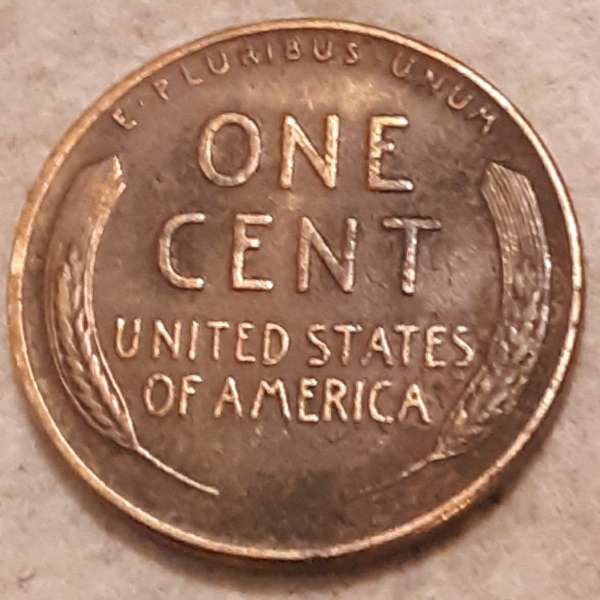1955-LWC.-Is-This-A-Lam.-Or-Die-Break-Or-PMD?-Thanks-Bent.
