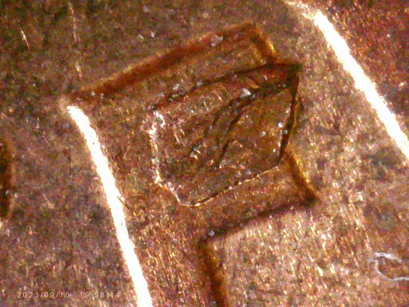1959-D-LMC.-Is-This-Die-Chip?-Or-From-Another-Coin?-Looks-Like-There-Is-Letters--On-It.-Thanks-Bent.