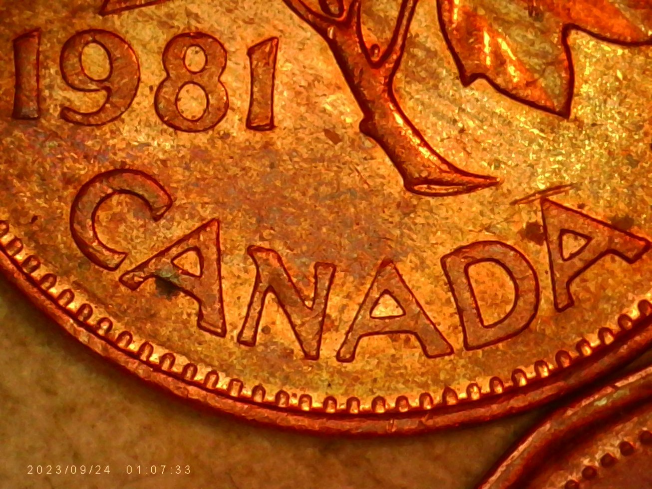 1981-Maple-Leaf-Cent-Is-This-Normal-For-This-Cent?-And-What-Is-On-The-Maple-Leaf?