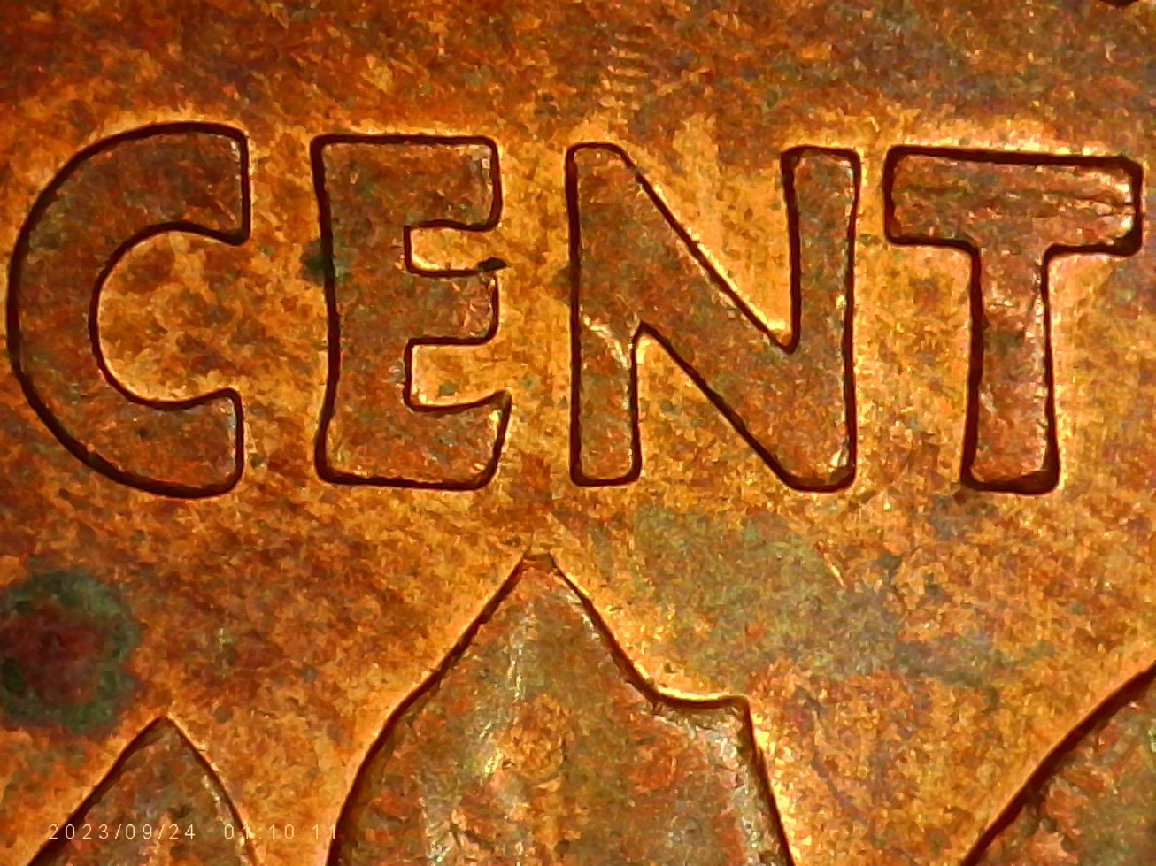 1981-Maple-Leaf-Cent-Is-This-Normal-For-This-Cent?-And-What-Is-On-The-Maple-Leaf?