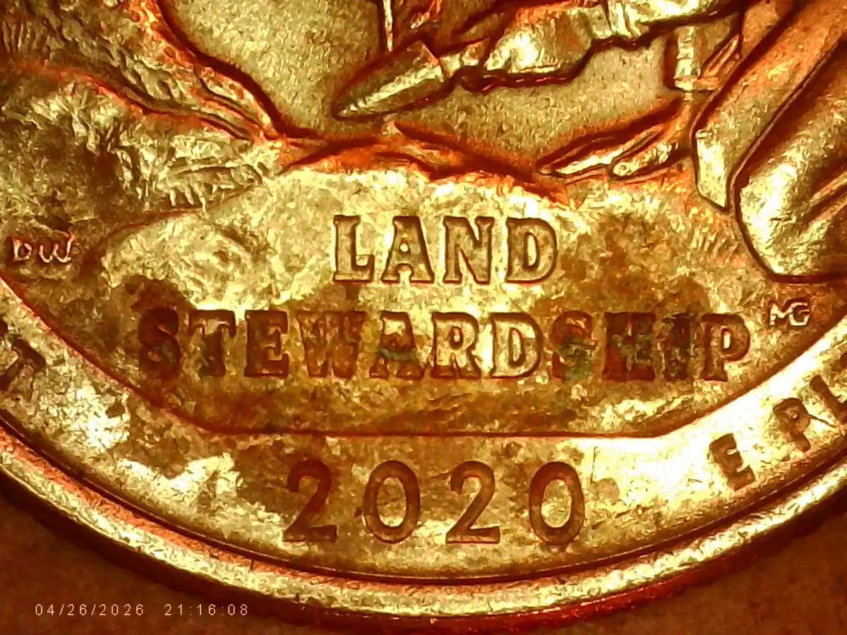 2020-P-Washington-Quarter.-Big-Die-Clash.-What-Do-You-Think?