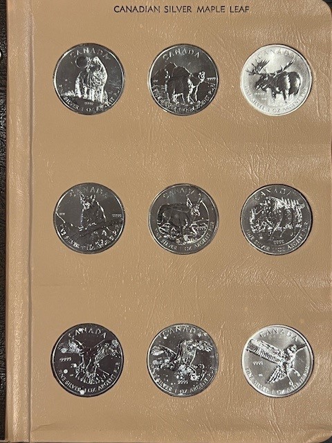 153-Days-Of-Dansco-Albums