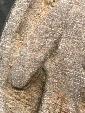 1916-Buffalo-Nickel-Mistake