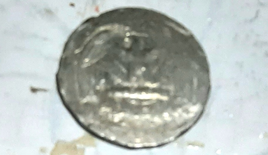 Quarter-Planchet-Error?