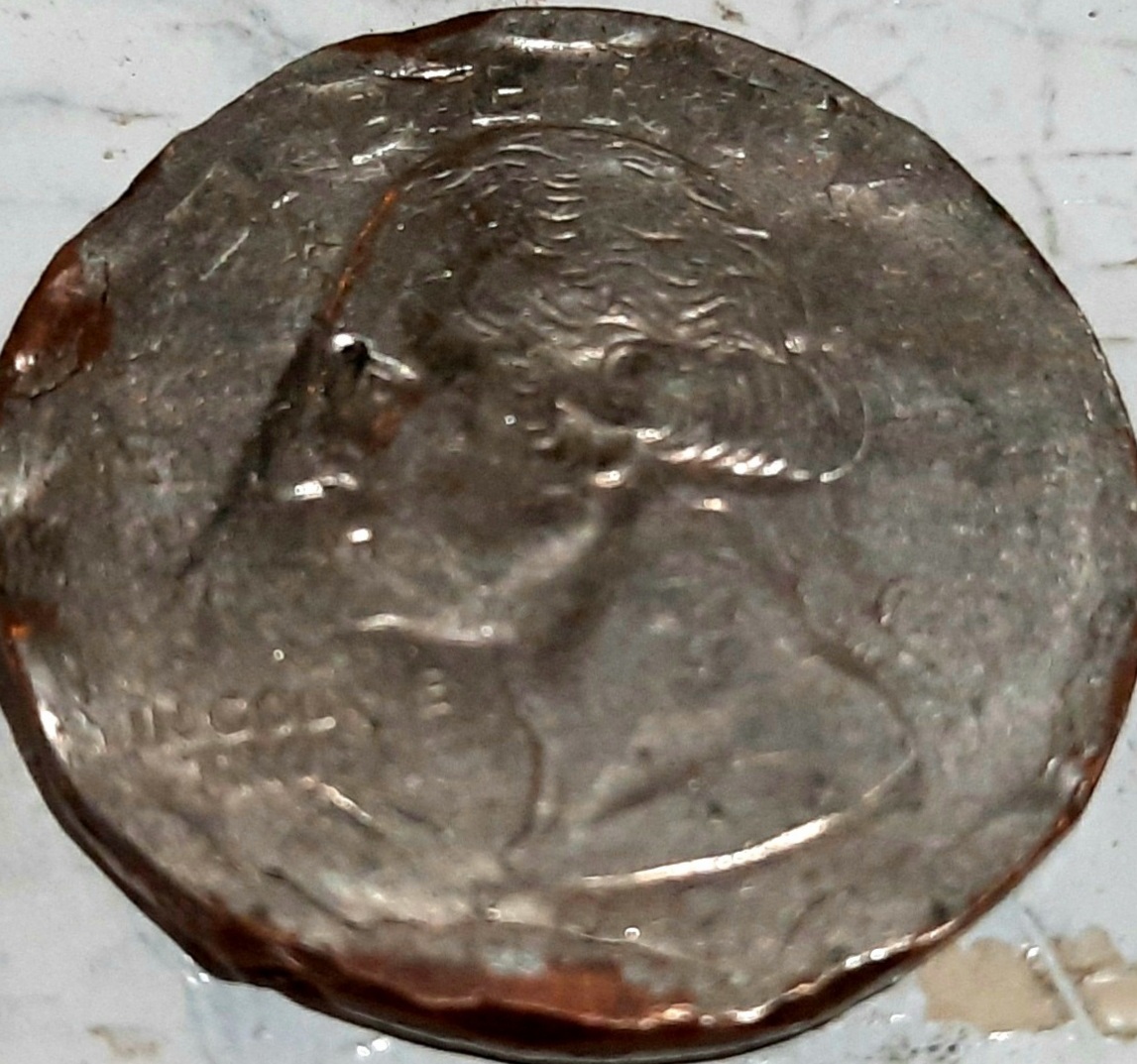 Quarter-Planchet-Error?