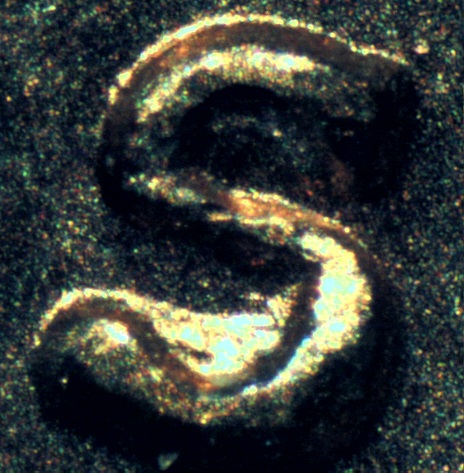A-Few-Of-My-Finds