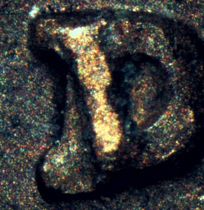 1981-PMD?