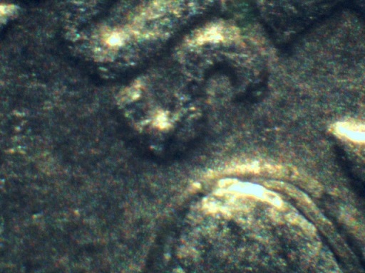 1969-Quarter