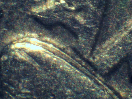 1969-Quarter