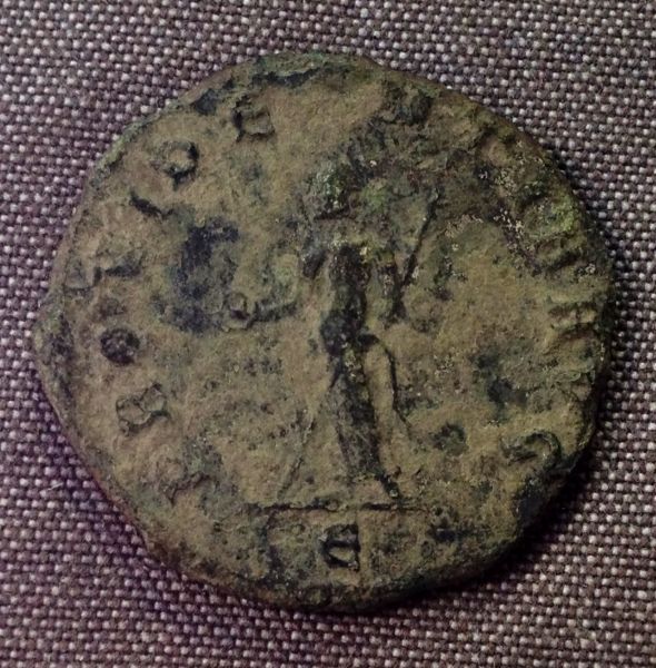 Carus-Unlisted-Officina?