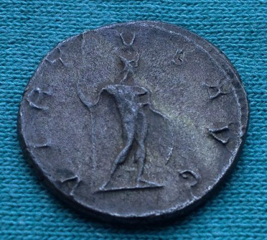 Postumus-Ebay-Bargain