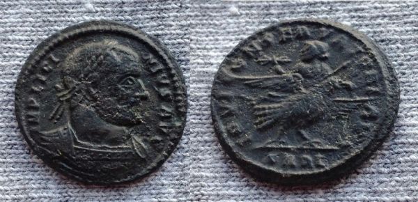 Licinius-Cleaning-Project