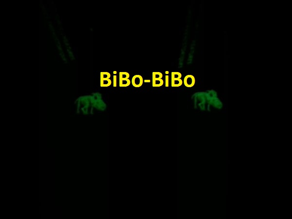 Glow-In-The-Night-Dinosaur----Glow-Bright-Tonight