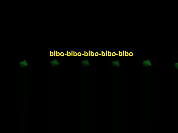 Glow-In-The-Night-Dinosaur----Glow-Bright-Tonight