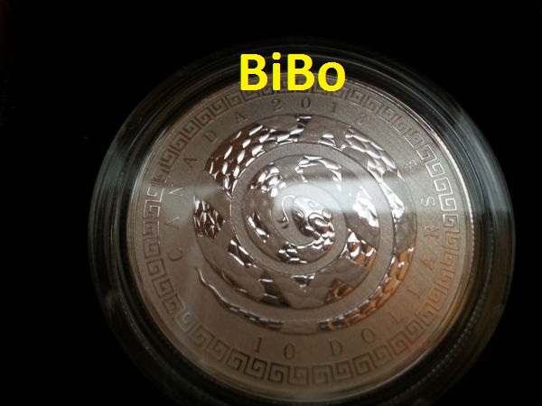 2013-Newest-Snake-Coin-Received