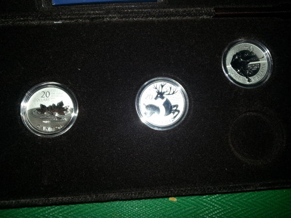 $20-For-$20-Series-Silver-Coins---Display-Case