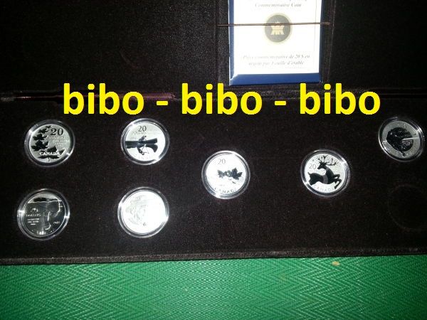 $20-For-$20-Series-Silver-Coins---Display-Case