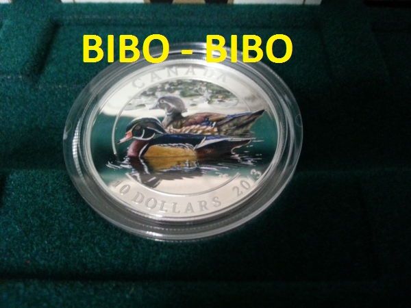 Ducks-Of-Canada:-Wood-Duck-+-Box-Set