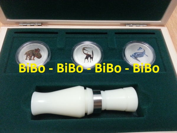 Glow-In-The-Dark-Dinosaur-Display-Box