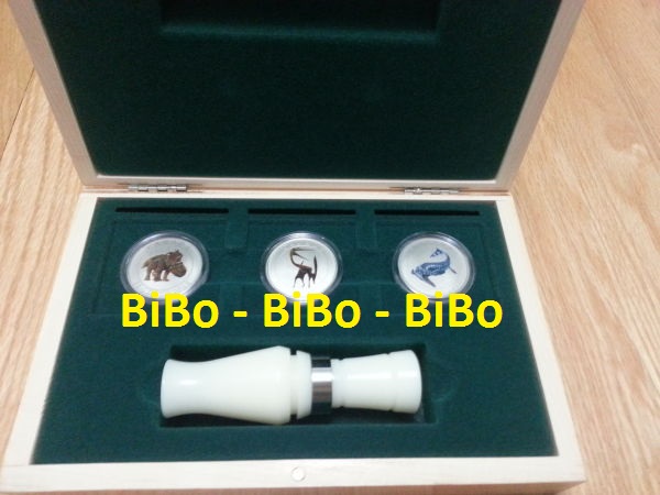 Glow-In-The-Dark-Dinosaur-Display-Box