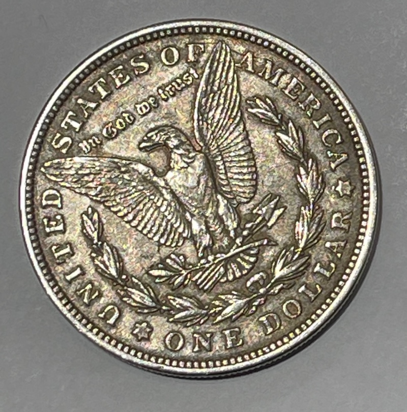 1921-Morgan-Dollar---Same-Need-Help-For-Grading-And-Any-Errors?