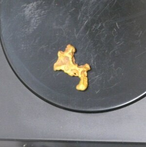 Aussie-Gold-Finds