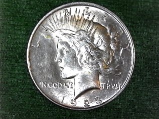 Two-1923-Peace-Dollar-Grading-And-VAM-Help