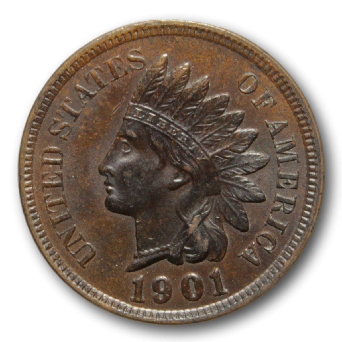 1901-Indian-Head-Cent-Grade-Opinion