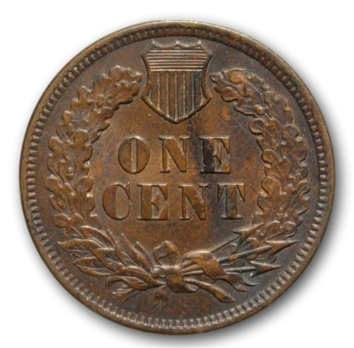 1901-Indian-Head-Cent-Grade-Opinion