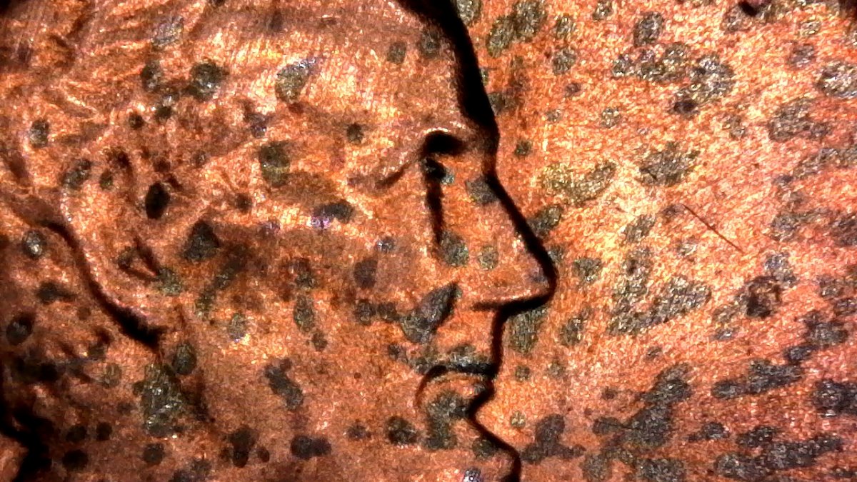 Extremely-Long-Ear-On-1984-D...found-While-Seraching-For-1983-D-Ear-DDO...