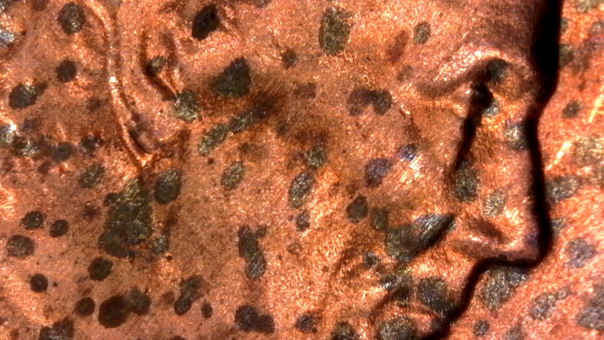Extremely-Long-Ear-On-1984-D...found-While-Seraching-For-1983-D-Ear-DDO...