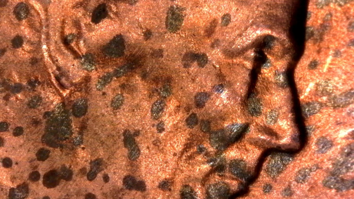 Extremely-Long-Ear-On-1984-D...found-While-Seraching-For-1983-D-Ear-DDO...