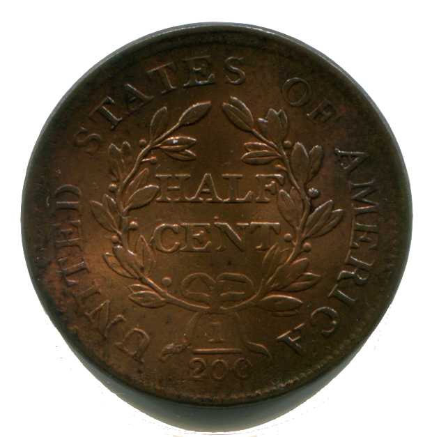 The-65-Days-Of-Half-And-Large-Cents!