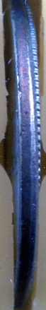 A-1995-Roosevelt-Dime-With-Railroad-Rim