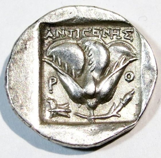 Authentic-Caria-Rhodes,-Helios-Rose-Bud?