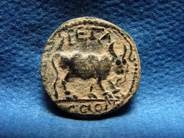 Odd-Looking-Coin