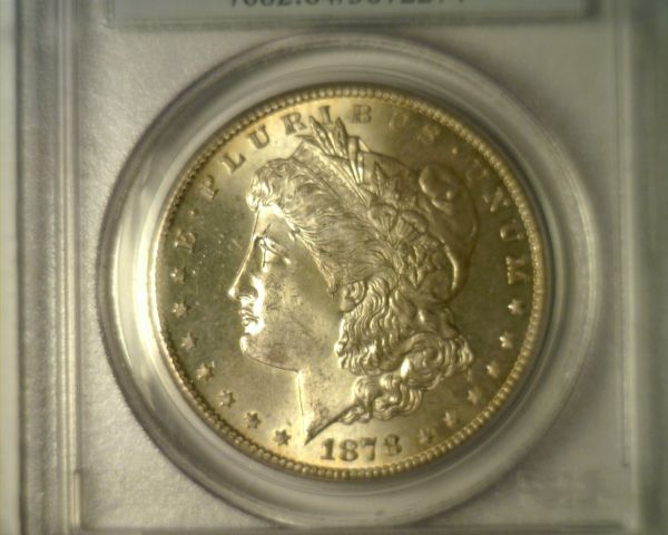 Morgan-Dollar-Color