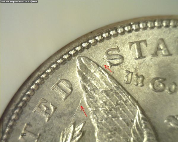 Morgan-Dollar-Color
