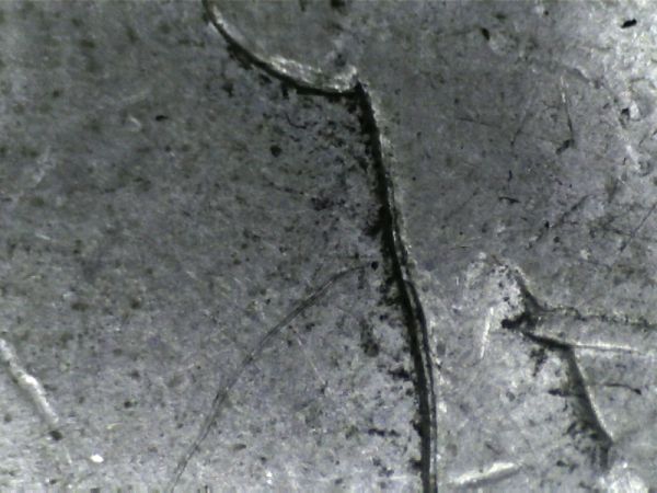 1921-S-Morgan-Errors?