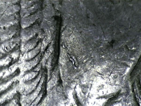 1921-S-Morgan-Errors?