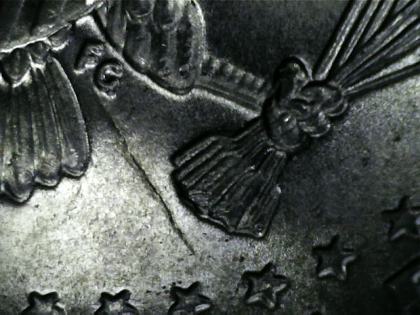 2005-D-Kennedy